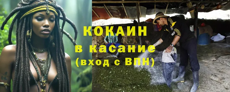 сколько стоит  Великий Устюг  COCAIN Fish Scale 